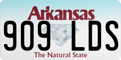 AR license plate 909LDS