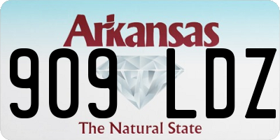 AR license plate 909LDZ