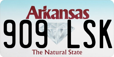 AR license plate 909LSK