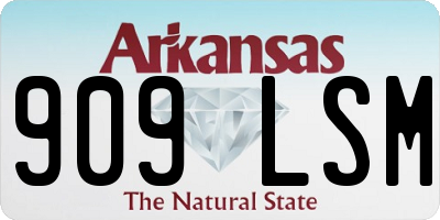 AR license plate 909LSM