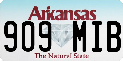 AR license plate 909MIB