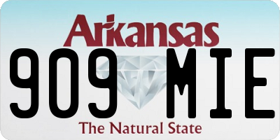 AR license plate 909MIE