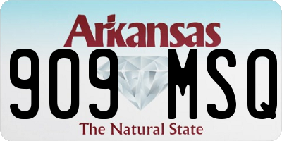 AR license plate 909MSQ
