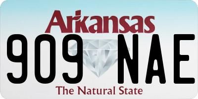 AR license plate 909NAE