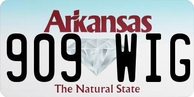 AR license plate 909WIG