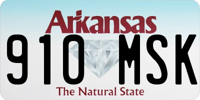 AR license plate 910MSK