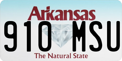 AR license plate 910MSU