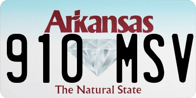 AR license plate 910MSV
