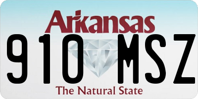 AR license plate 910MSZ