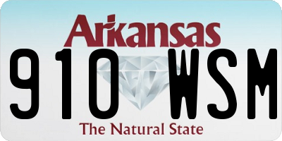 AR license plate 910WSM