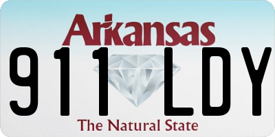 AR license plate 911LDY