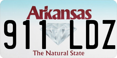 AR license plate 911LDZ