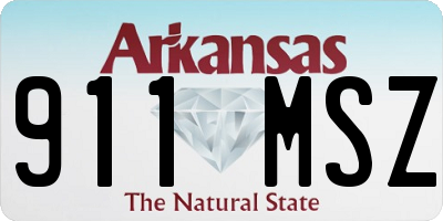 AR license plate 911MSZ