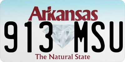 AR license plate 913MSU