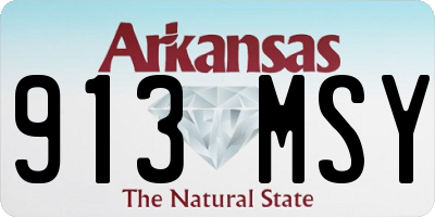 AR license plate 913MSY