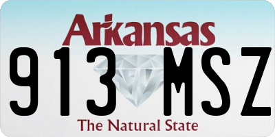 AR license plate 913MSZ