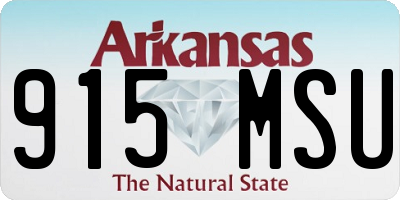 AR license plate 915MSU