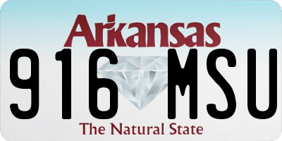AR license plate 916MSU