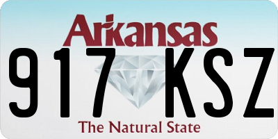 AR license plate 917KSZ