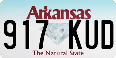 AR license plate 917KUD