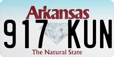 AR license plate 917KUN