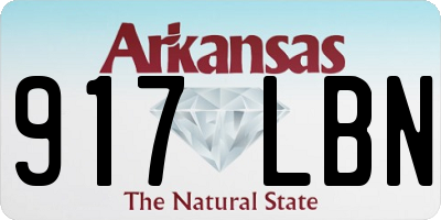 AR license plate 917LBN