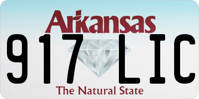 AR license plate 917LIC