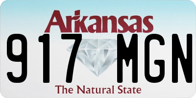 AR license plate 917MGN