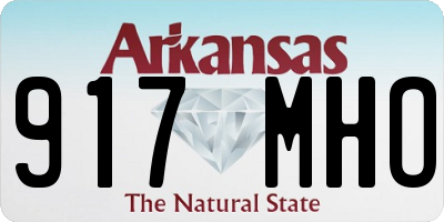 AR license plate 917MHO