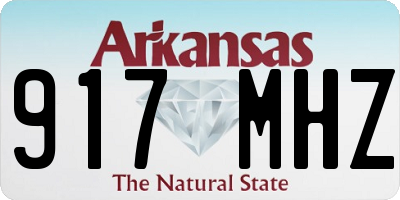 AR license plate 917MHZ