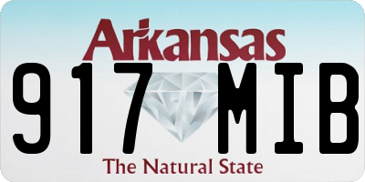 AR license plate 917MIB