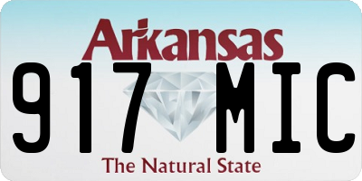 AR license plate 917MIC