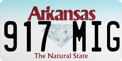 AR license plate 917MIG