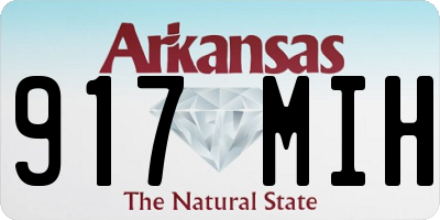 AR license plate 917MIH