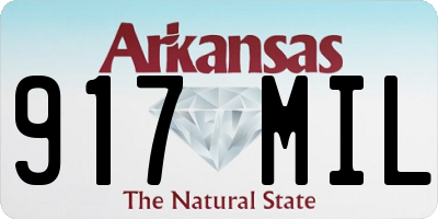AR license plate 917MIL
