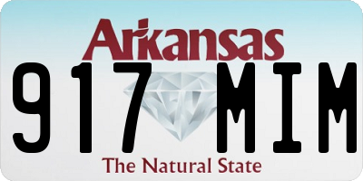 AR license plate 917MIM