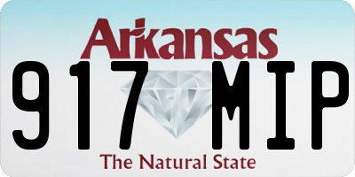 AR license plate 917MIP