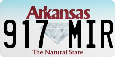 AR license plate 917MIR