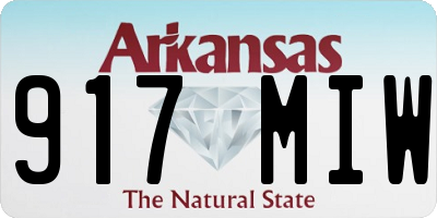 AR license plate 917MIW
