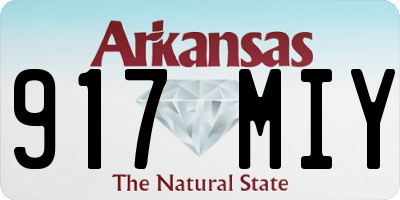 AR license plate 917MIY