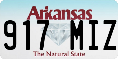 AR license plate 917MIZ