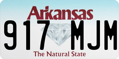 AR license plate 917MJM