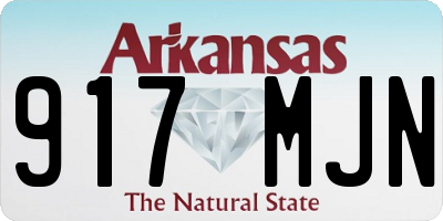 AR license plate 917MJN