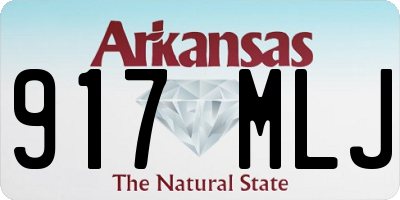 AR license plate 917MLJ