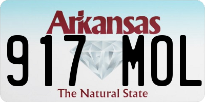 AR license plate 917MOL