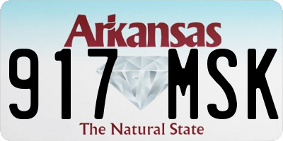 AR license plate 917MSK