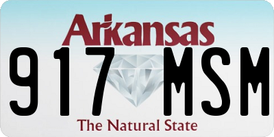 AR license plate 917MSM