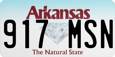 AR license plate 917MSN