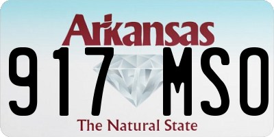 AR license plate 917MSO