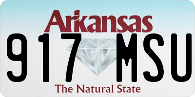 AR license plate 917MSU